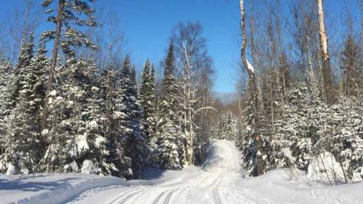 Snowmobile  Trail Conditions